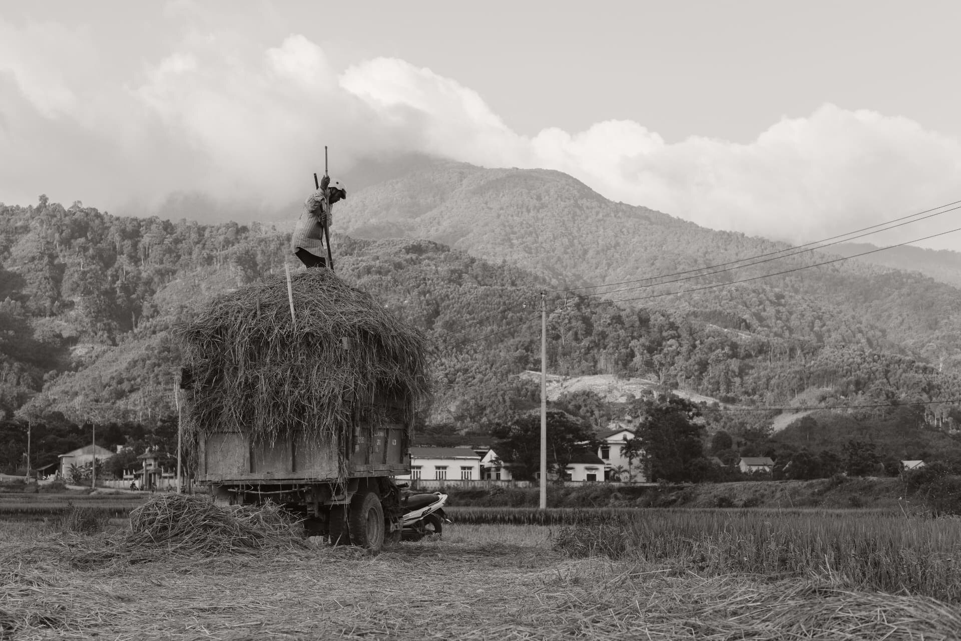 Loaded harvest truck being stacked with straw in front of forested mountains